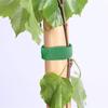 Fio de Amarração Autoadesivo para Jardinagem de Plantas Verdes Cinta de Amarração para Plantas Cinta de Amarração de Velcro Verde para Trepadeiras Fixação de Plantas Flor