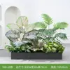 [Serie Y80] Decoración de Partición de Planta Verde Simulada Macetero Maceta Valla Paisajística de Plástico Biónico Diseño