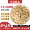 Fábrica Fuente de Quinoa Distribuye Cereales Sustitutos Arroz de Quinoa Arroz Integral Tira de Quinoa en stock Suministro 500g
