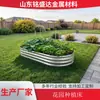 Cama de Jardín Caja Metálica para Plantar, Caja Móvil para Verduras, Macetero, Balcón Exterior, Patio, Caja para Plantar en Azotea