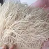 DIY tira de tecido decorativa de pena franja pena de avestruz acabamento de tecido para vestido de palco de noite fantasia de dança borda de saia acessórios de vestuário renda