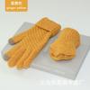 Venda Direta da Fábrica Luvas de Tricô Outono e Inverno para Estudantes, Jacquard com Tela Sensível ao Toque, Aveludadas e Espessas, Casais, Quentes e Modernas, Para Usar com Celulares