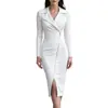 2026 Transfronterizo Europeo y Americano AliExpress Nuevo Moda Cintura Ceñida Manga Larga Cuello Traje Cremallera Vestido