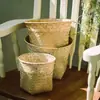 Cesta de Flores de Planta de Paja Natural, Maceta Creativa Tejida a Mano de Mimbre y Ratán, Cesta Tejida al por Mayor para Jardinería de Suculentas