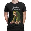 Camiseta Hipster Brr Brr Patapim Cerebro Podrido Italiano Hombre Algodón Redondo