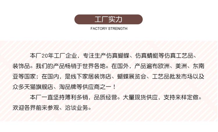 色系4-5-8色_21.jpg