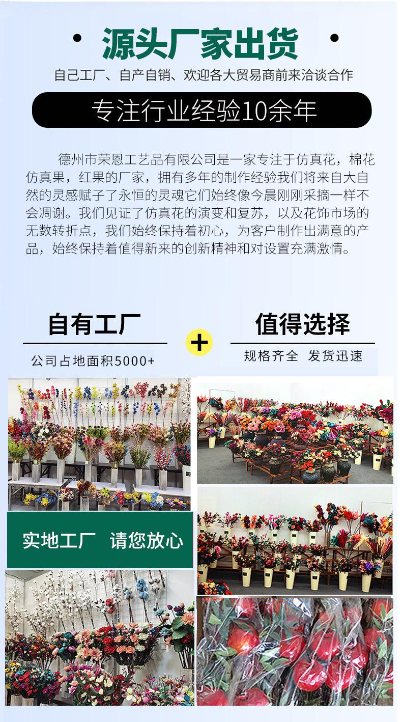 小石榴(2)(1)_10.jpg