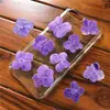 Marco de fotos con espécimen de flor de hortensia real Tarjeta de felicitación Decoración de joyería Material de repujado Planta DIY Manicura teñida