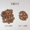 Lanzamiento de Nuevo Producto Kit de Materiales para Carrillón de Viento con Cáscara de Fruta Campana de Agua de Fruta Negra Indonesia Madera de Campana Cáscara de Fruta Natural Fabricante de Bricolaje Mayorista