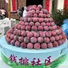 Frutas frescas da estação, de polpa vermelha, doces e crocantes, em conserva, de Qianpai, Maoming, Guangdong, vendidas por quilo, atacado por caixa