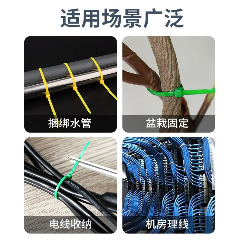 微信图片_20250303192340