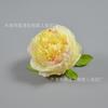 Flores de Peonía de Lujo para Muros de Flores de Boda, Arreglos Florales, Accesorios para Hacer Bolígrafos de Firma de Peonías Reales, Cabezas de Flor de Peonía de Tela de Seda