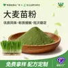 Pó de broto de cevada, suco verde, pó solúvel em água de frutas e vegetais, matérias-primas para bebida instantânea substituta de refeição, fornecimento em massa de fábrica