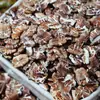 Comprimidos de Aveia Preta Integral Mingau Nutritivo para Café da Manhã Grão Grosso Dieta Doméstica Produtos Multigrãos Atacado e Varejo