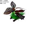 Paisagismo de Aquário Plantas Aquáticas Artificiais Plantas Decorativas Tecido de Seda Jacinto d'Água Caixa para Répteis Paisagismo Enfeites de Plantas Verdes Plantas Aquáticas de Plástico