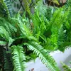Folhas de Samambaia Artificiais, Plantas de Samambaia, Flores e Plantas Artificiais, Folhas Verdes, Materiais Florais, Decoração de Arranjo de Paisagismo de Floresta para Canto de Plantas