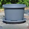 Maceta para Bulbos Maceta Gruesa con Control de Raíces Transpirable Maceta para Petunias Rojo Bermellón Flores de Lirio Carnoso Bolas Maceta de Resina Redonda