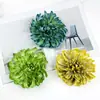 Estilo Estampa de Flor Artificial Crisântemo Garra de Dragão Mil Camadas DIY Cabeça de Crisântemo de Seda Dourada Decoração de Casa Flor Artificial Fotografia Arranjo Floral Ornamento