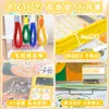 Bolsa de archivo portátil de color fluorescente bolsa de libros de alta calidad para llevar bolsa de almacenamiento con cremallera transparente A4