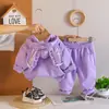 Ropa de Otoño para Niñas 2026 Nuevo Estilo Conjunto Infantil Elegante Casual Bebé Estilo Primavera y Otoño de Moda Conjunto de Dos Piezas de Manga Larga Dropshipping