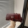Bolso de Diseño de Nicho Francés para Mujer 2025 Nuevo Popular Versátil Bolso Cruzado de Alta Gama de Hombro Único Bolso Baguette para Debajo del Brazo