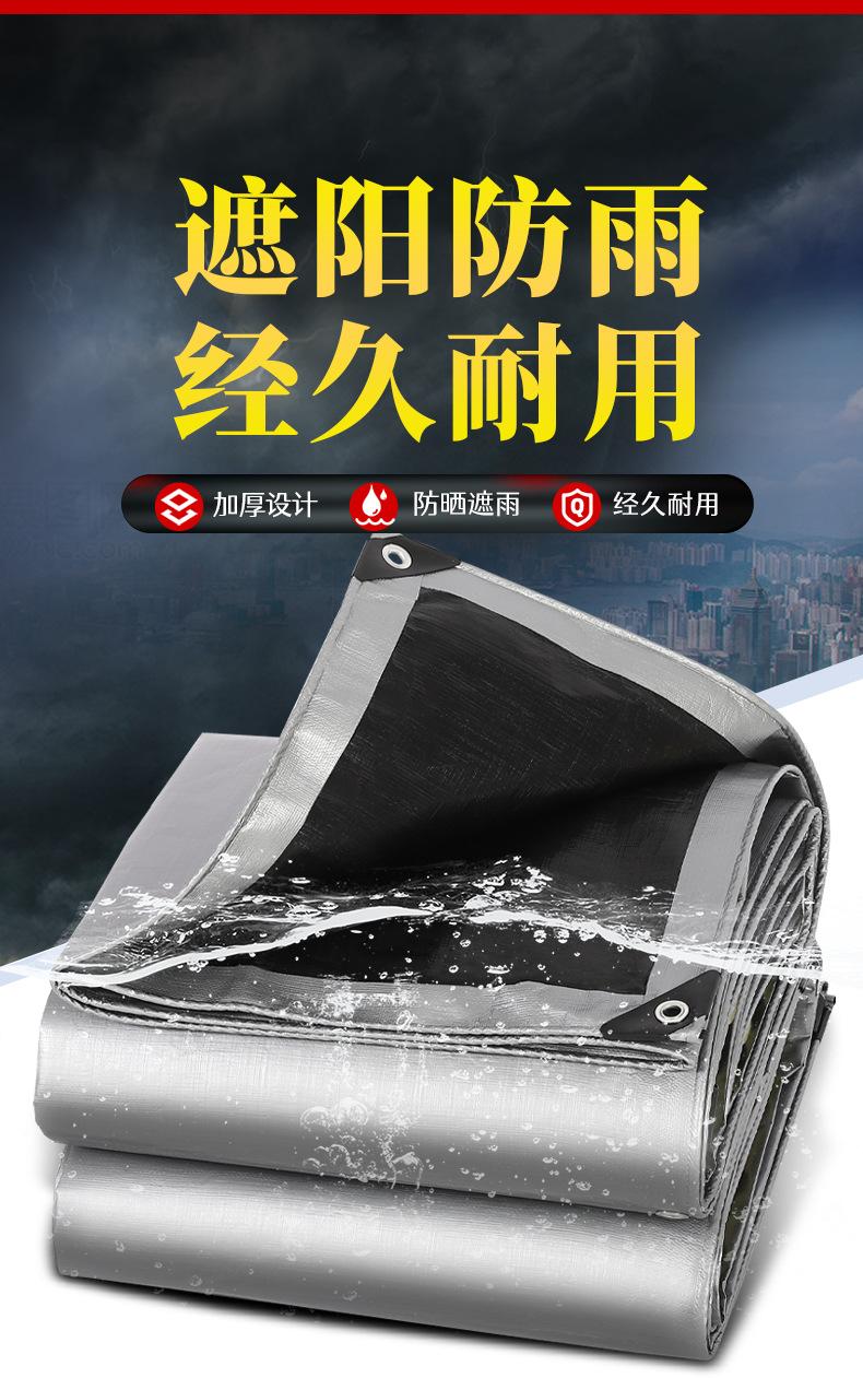 银黑2_02.jpg