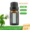 Frasco de óleo essencial de jasmim personalizado OEM de fábrica de origem, óleo de massagem de aromaterapia de 10 ml, óleo de jasmim pode ser conjunto transfronteiriço