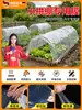 Película Pequeña para Invernadero Película Plástica Grande para Invernadero Película Específica para Verduras Transparente para Cultivo de Verduras Conservación de Calor Protección contra el Frío Película Mulch Película a Prueba de Viento a Prueba de Polvo