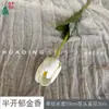 Flores de Tulipán de Colores Múltiples Estilo Europeo Abiertas a la Mitad Materiales y Accesorios DIY Hechos a Mano Pared de Flores para Bodas Arreglo Floral para Fotografía