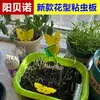 Amazon transfronterizo nuevo diseño tablero pegajoso para insectos trampa de punto tablero trampa para insectos pegajoso amarillo azul flor fabricantes al por mayor
