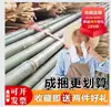 Varas de bambu pequenas para treliças de vegetais, suportes de jardim e cercas; varas de bambu para cultivar feijão, cercas e bandeiras decorativas; bambu fino
