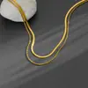 Collar de Cadena Plana de Acero de Titanio Nuevo Estilo Europeo y Americano para Mujer Estilo Frío Ins Doble Capa Trenzado Cuerda de Serpiente Cadena Clavicular