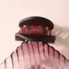 Nuevo Clip Plano Ovalado para el Cabello de PC Pequeño de Amazon, Pinza de Pato con Agarre Fuerte, Sensación de Alta Gama, Accesorio Simple para el Cabello para Peinados Recogidos