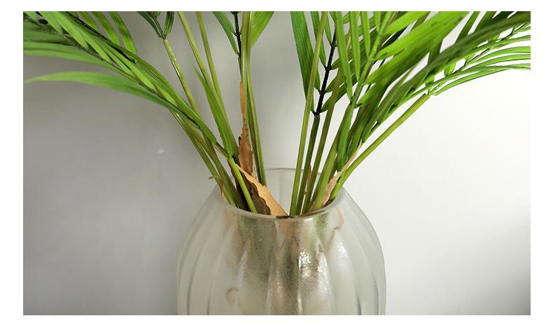 棕榈散尾葵叶_11