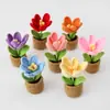 Puesto Callejero Tienda Artesanal Tejido Tulipán Floreciente Planta en Maceta de Lana Estudiante Lindo Aula Adornos de Ganchillo