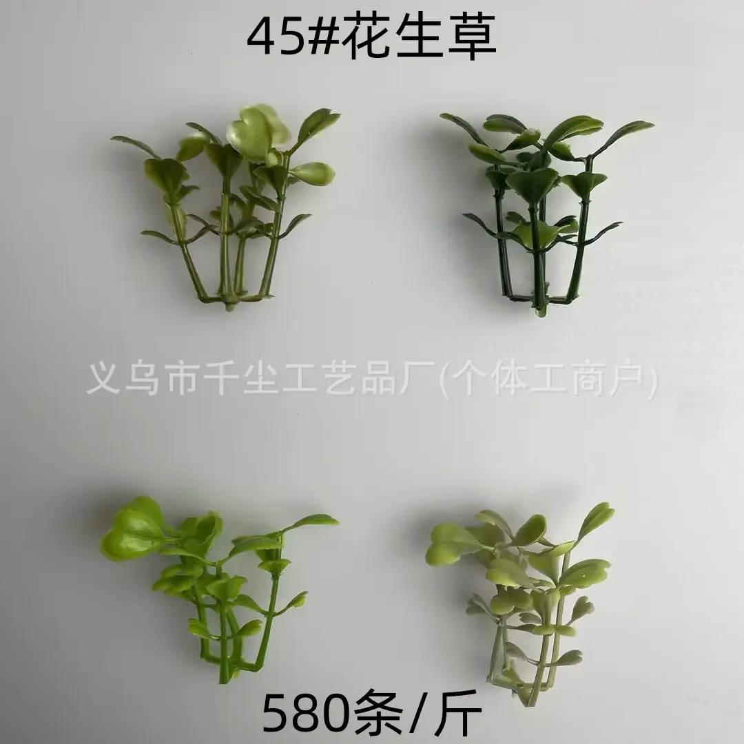 45#花生草.jpg
