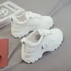 Tênis Branco Guindaste Branco, tênis de sola grossa de nicho para estudantes do sexo feminino, tênis esportivos e casuais versáteis, tênis femininos de nicho estilo floresta, tênis femininos de primavera e outono