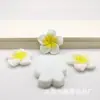 Parche de resina de flor de plumeria y bauhinia lindo y colorido material de pegamento en crema para accesorio de cabeza DIY, pasador, funda de teléfono móvil
