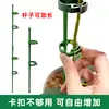 Soporte para Orquídea Phalaenopsis Varilla Enderezadora Soporte de Fibra de Vidrio Varilla Fijadora para Planta Trepadora