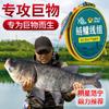 Línea de objetos grandes para carpa plateada, grupo terminado, línea principal, línea de resorte, grupo de pesca, carpa negra, carpa herbívora, línea de objetos grandes, grupo de productos genuinos.