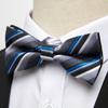 Pajarita para Hombre Novio Vestido de Novia Ropa Formal de Negocios Pajarita Jacquard Pajarita para Hombre Accesorios para Fiesta de Bodas