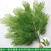 Plantas Verdes Flores Artificiales Hierba Aspargo Colgante Decoración de Fondo de Arte Floral para Bodas Flores Falsas Estilo Bosque Escenario de Boda Arreglo Floral