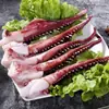 Frutos do Mar Frescos Congelados Tentáculos de Polvo Frescos Tentáculos de Polvo Pequeno Prato Lateral para Hot Pot Meio Jin LD Dropshipping Amazon