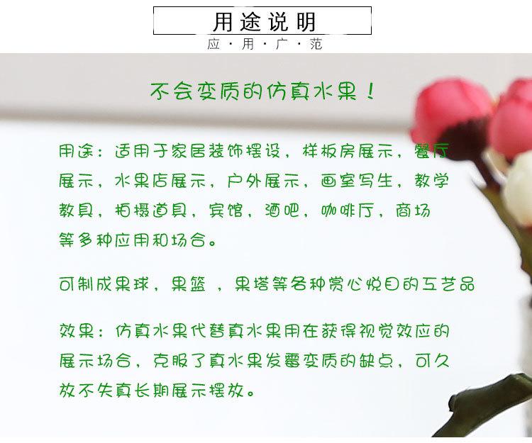 仿真水果-圣女果_12.jpg