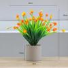 Simulação Planta Plástico Flor Falsa 7 Garfo Camélia Gympani Primavera Grama Flor Centáurea Hotel Ornamentos de Decoração de Casa