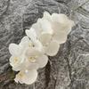 Arranjo de flores de teto para casamento com 9 cabeças de phalaenopsis 3D, decoração de casa, flor artificial para vitrine de shopping center, orquídea