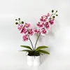 Maceta cuadrada artificial 2 ramas 12 flores Orquídea Phalaenopsis planta en maceta decoración del hogar tacto realista flor artificial bonsái adorno pequeño