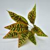 Material de Pared de Plantas de Simulación Flor de Plástico Maceta Helecho de Simulación Hoja Persa Planta de Simulación Chía