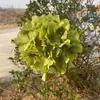 Hidrangea grande de una sola cabeza Comercio exterior Hidrangea grande de estilo coreano Hidrangea de simulación Hotel Boda Decoración suave Flores artificiales