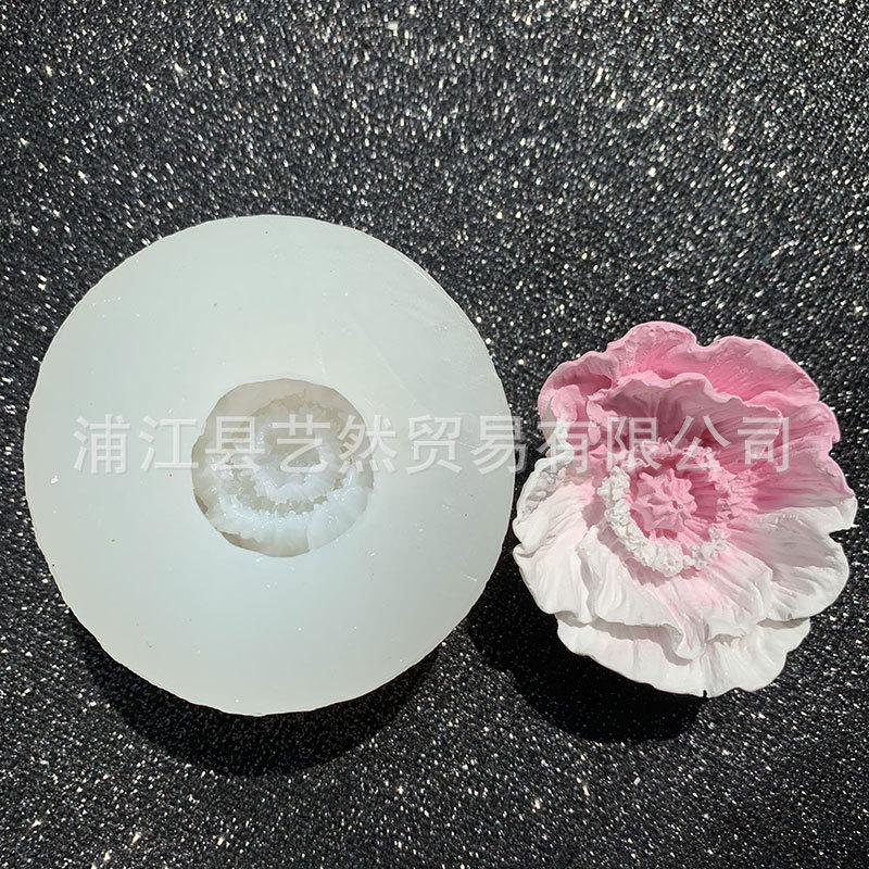 1902、174-175、179-5.jpg